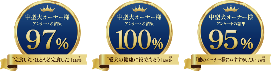 アンケート結果画像