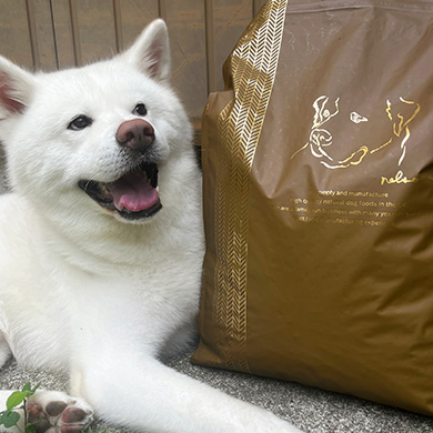 ネルソンズドッグフード　大型犬用