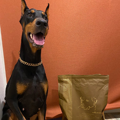 ネルソンズドッグフード　大型犬用