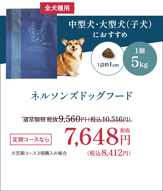 ネルソンズドッグフード