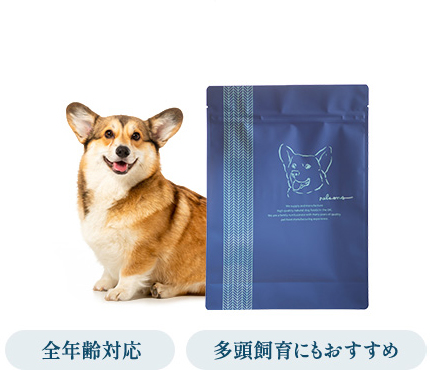 ネルソンズドッグフード