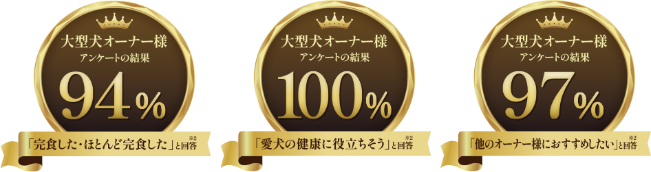 アンケート結果画像