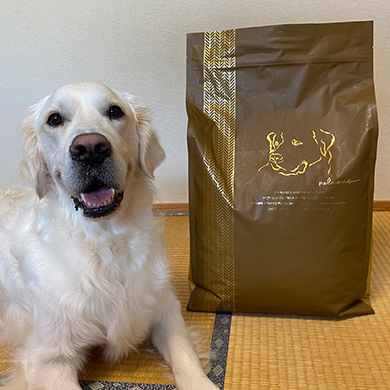 ネルソンズドッグフード　大型犬用